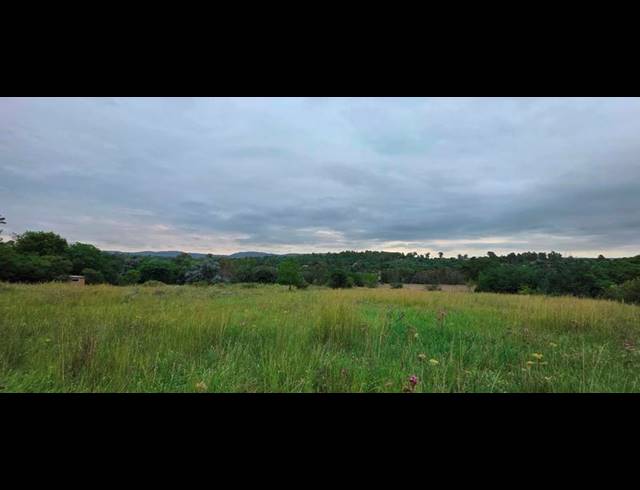 FARM FOR SALE IN ZONNEHOEWE